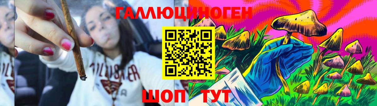 Псилоцибиновые грибы прущие грибы Усть-Джегута